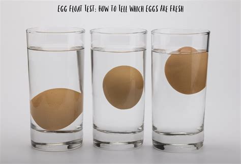 egg float test for fresh eggs